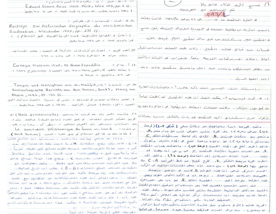 مسح أثري لأثاروادي يلا